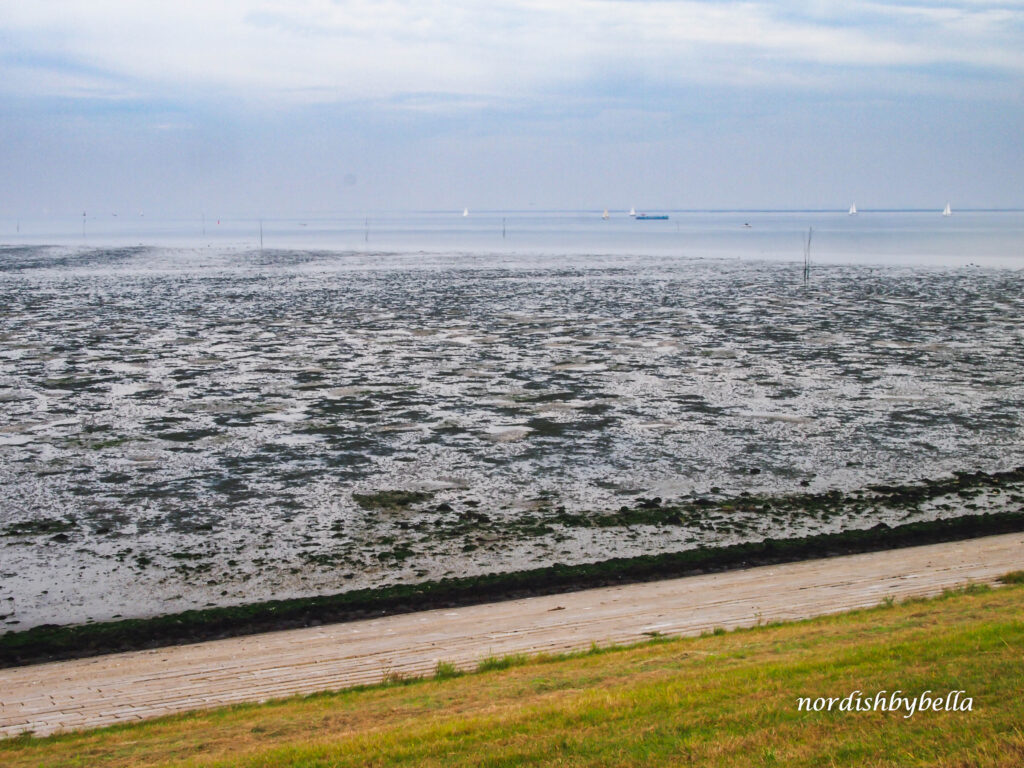 Ebbe-Zeit an der Oosterschelde