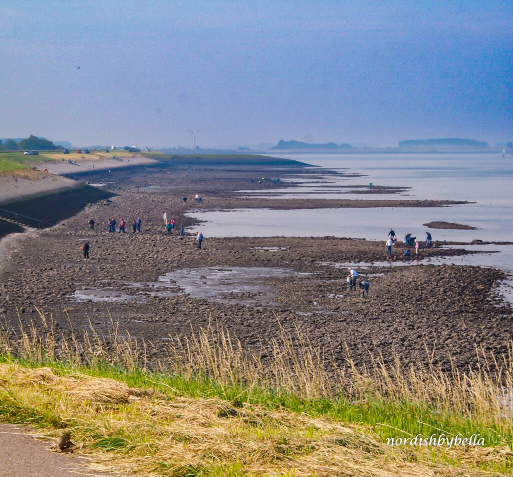 Muschelsammler im Watt