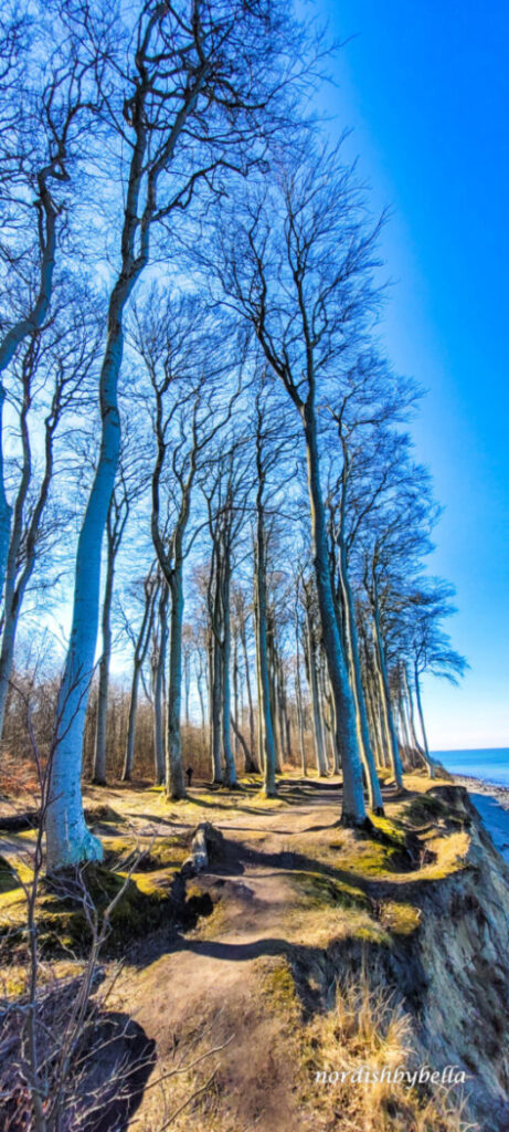 Radwanderweg an der Steilküste 