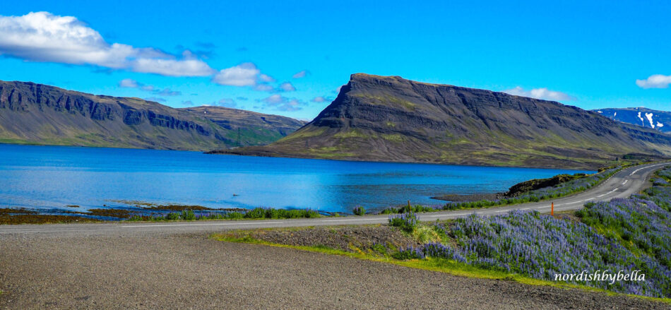 Hvalfjörður am Fossarett