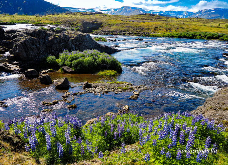 Kleiner Fels im Laxfoss