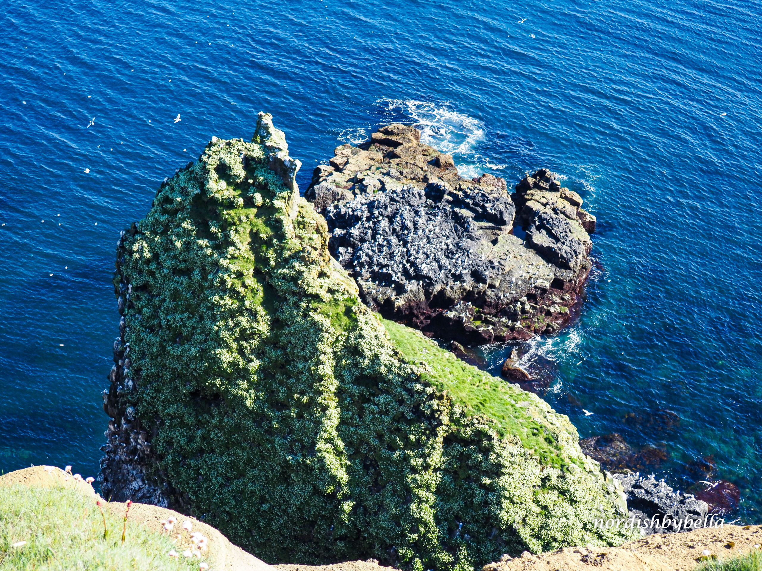 Meeresklippen bei den Lóndrangar