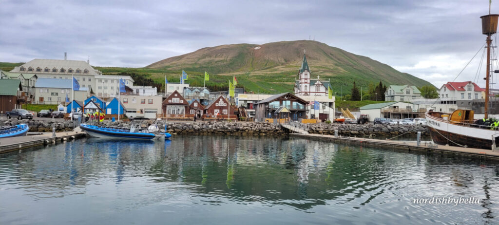 Blick vom Wasser aus auf die Stadt Húsavík