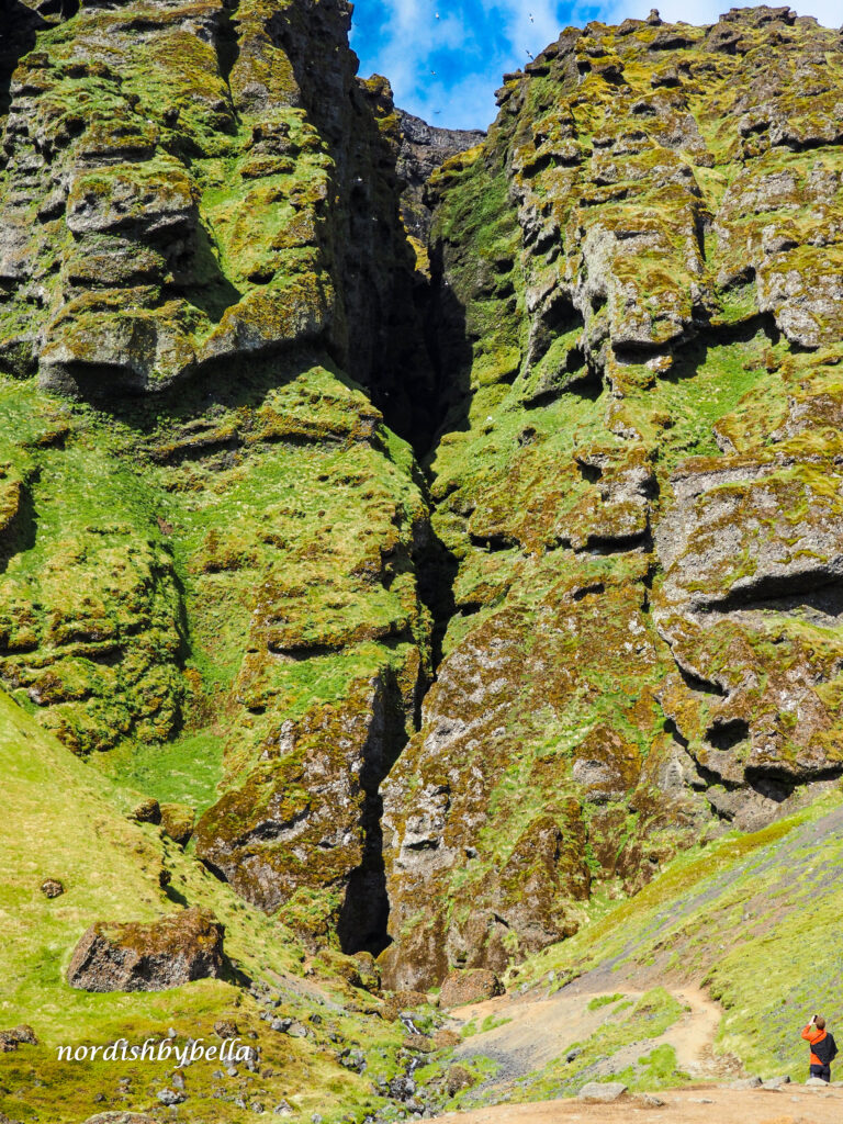 Ansicht Rauðfeldsgjá-Schlucht