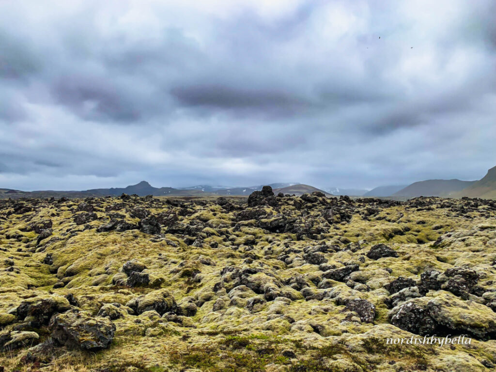 Blick auf das Lavafeld Beserkjaravn