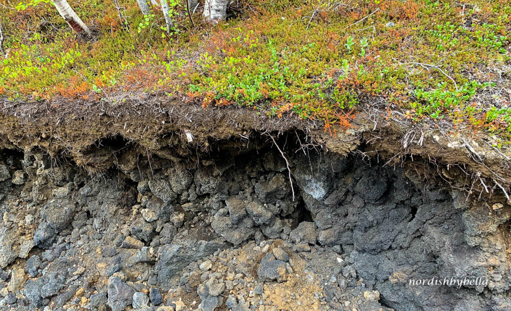 Dünne Erdschicht auf Felsen, in der die Vegetation halt findet