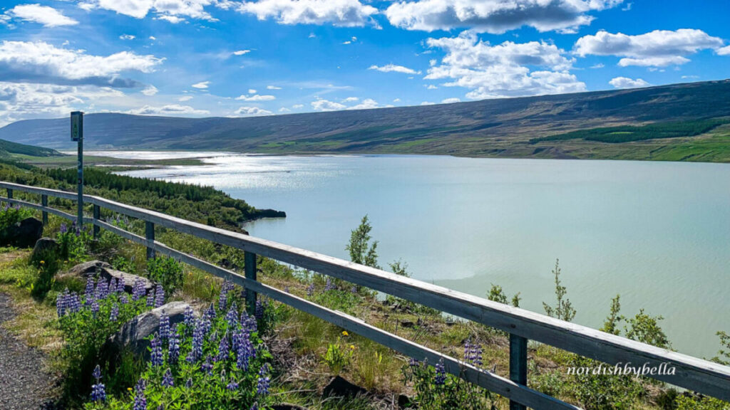 See Lagarfljót mit Brücke und den umliegenden Bergen