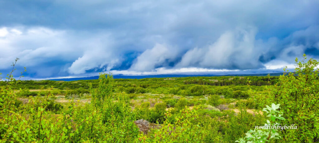 Tief hängende Regenwolken über die grün bewachsene Landschaft bei Egilsstaðir