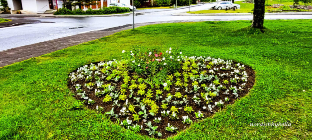 Beet mit Blumen in Herzform