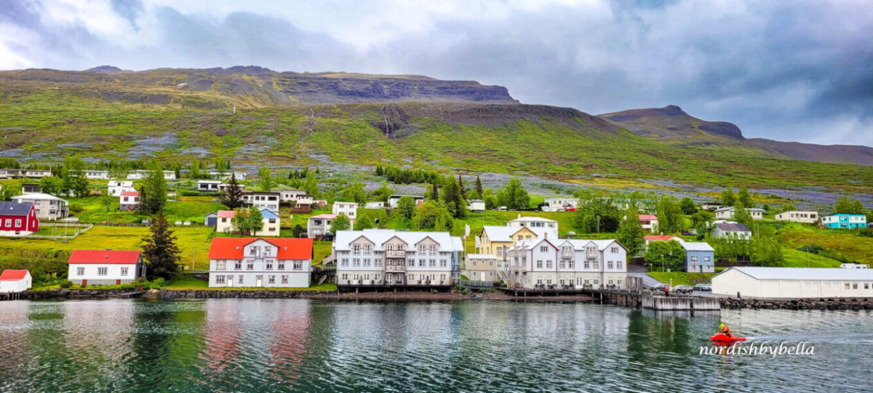 Aussicht auf den Ort Fáskrúðsfjörður vom Wasser aus