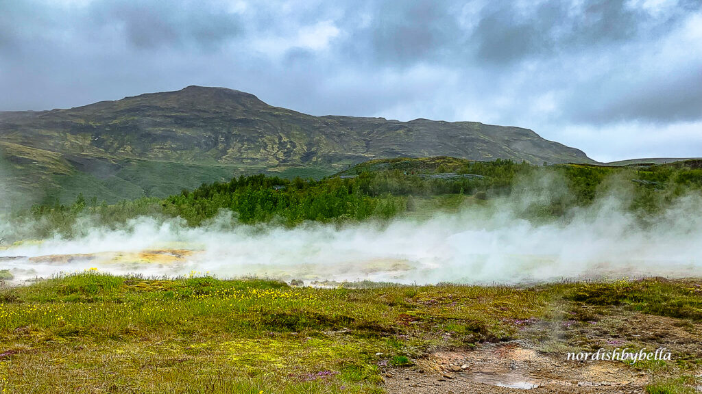 Heiße Wasserquellen im Thermalgebiet Haukadalur