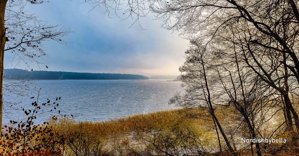 Seeblick vom Seedorfer-Werder auf den Schaalsee mit Bäumen und Seegrad am Ufer