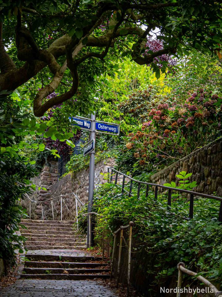 Treppenviertel in Blankenese für Vergleich der Bildformate RAW und JPEG