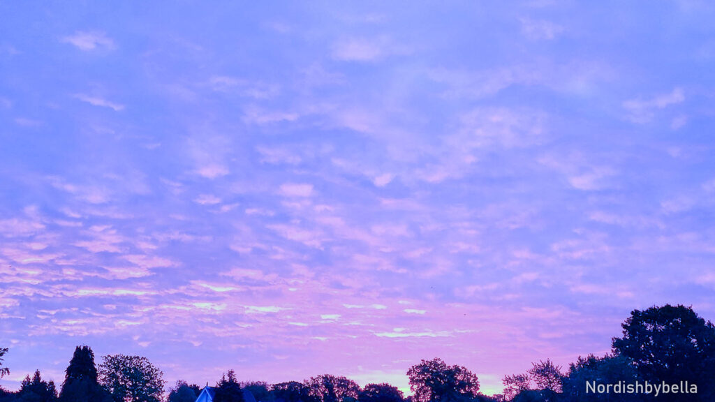 Lila Himmel mit Wolken und Bäumen - WA kühl