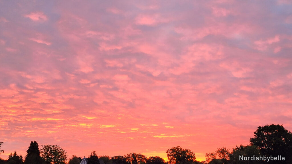 Bunter Sonnenuntergang über Bäumen - WA warm