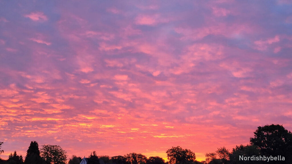 Bunter Sonnenuntergang über Bäumen